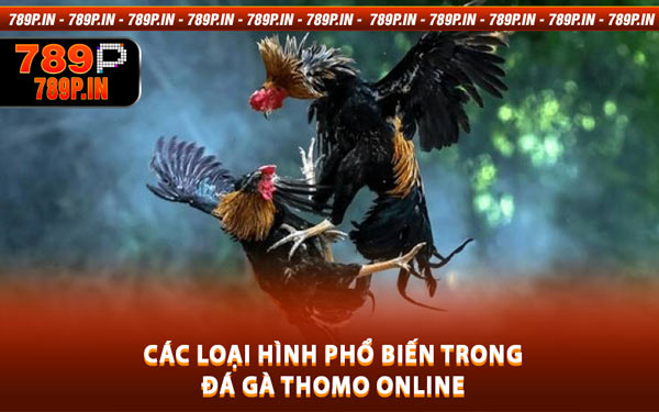 Các Loại Hình Phổ Biến Trong Đá Gà Thomo Online