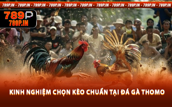 Kinh Nghiệm Chọn Kèo Chuẩn Tại Đá Gà Thomo